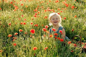 פסטיבל דרום אדום בפארק אשכול