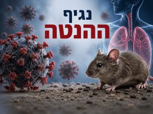 נגיף ההנטה
